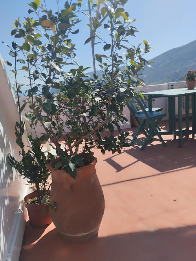 Sokratis Apartments Symi Ruang foto